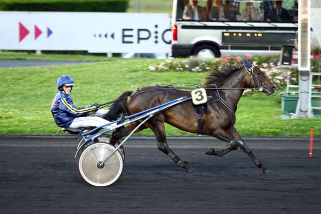 Photo d'arrivée de la course pmu PRIX ALHENA à PARIS-VINCENNES le Vendredi 15 septembre 2017