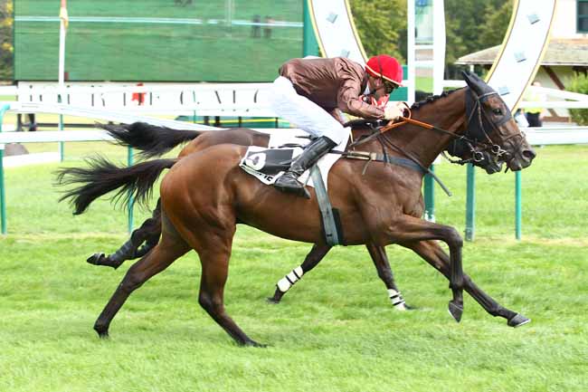 Photo d'arrivée de la course pmu PRIX MAURICE D'OKHUYSEN à COMPIEGNE le Vendredi 15 septembre 2017
