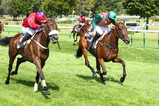 Photo d'arrivée de la course pmu PRIX ROMAN OAK à COMPIEGNE le Vendredi 15 septembre 2017