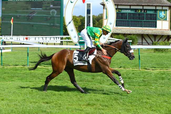 Photo d'arrivée de la course pmu PRIX NUAGE à COMPIEGNE le Vendredi 15 septembre 2017