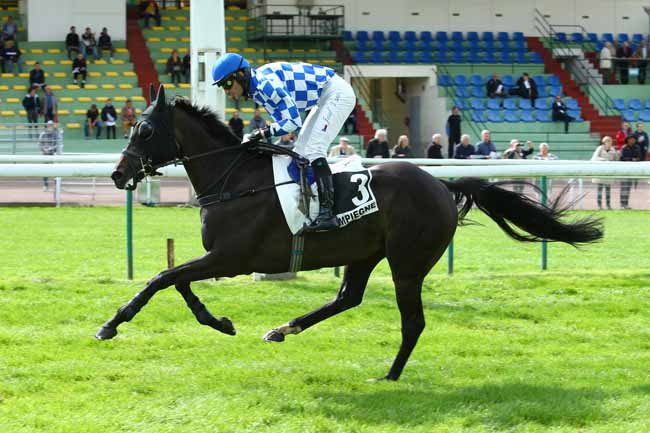 Photo d'arrivée de la course pmu PRIX DES ROUGES TERRES à COMPIEGNE le Vendredi 15 septembre 2017