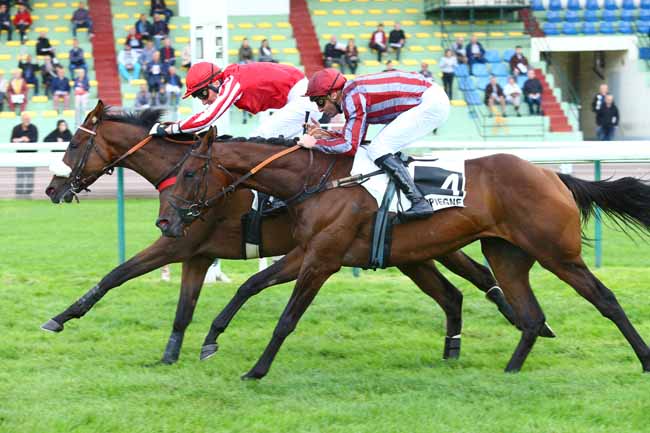 Photo d'arrivée de la course pmu PRIX ASTON BLOUNT à COMPIEGNE le Vendredi 15 septembre 2017
