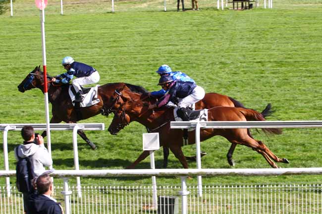 Photo d'arrivée de la course pmu LA COUPE DE MAISONS-LAFFITTE à MAISONS-LAFFITTE le Samedi 16 septembre 2017