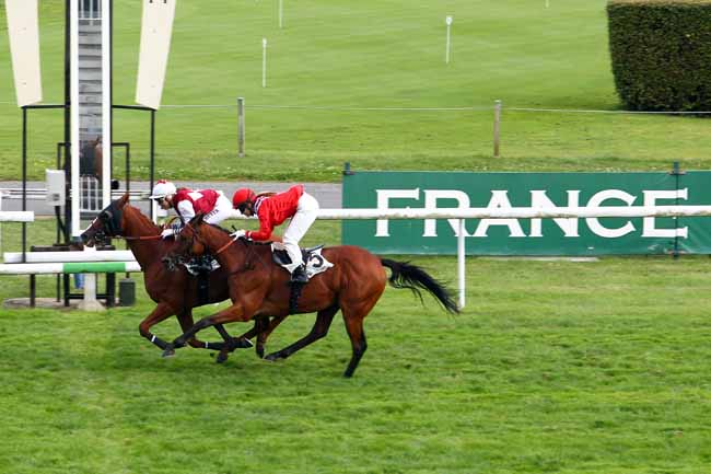 Photo d'arrivée de la course pmu PRIX DU CLUB DES GENTLEMEN-RIDERS ET DES CAVALIERES à MAISONS-LAFFITTE le Samedi 16 septembre 2017