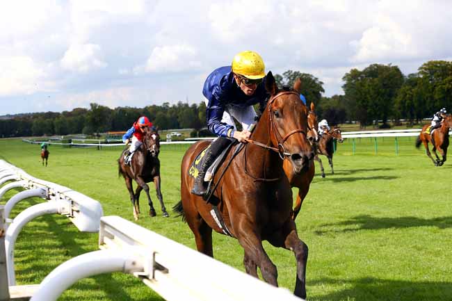 Photo d'arrivée de la course pmu PRIX DU PUITS DU ROY à COMPIEGNE le Dimanche 17 septembre 2017