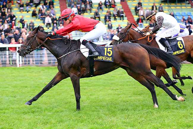 Photo d'arrivée de la course pmu PRIX DES BELLES DEMOISELLES à COMPIEGNE le Dimanche 17 septembre 2017