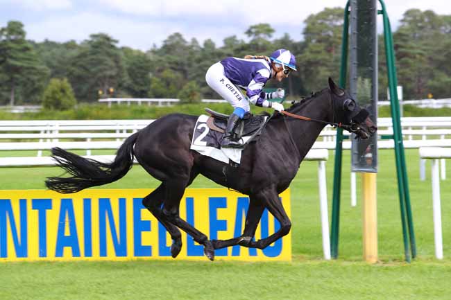 Photo d'arrivée de la course pmu PRIX DES PAVILLONS DE BERCY à FONTAINEBLEAU le Mardi 19 septembre 2017