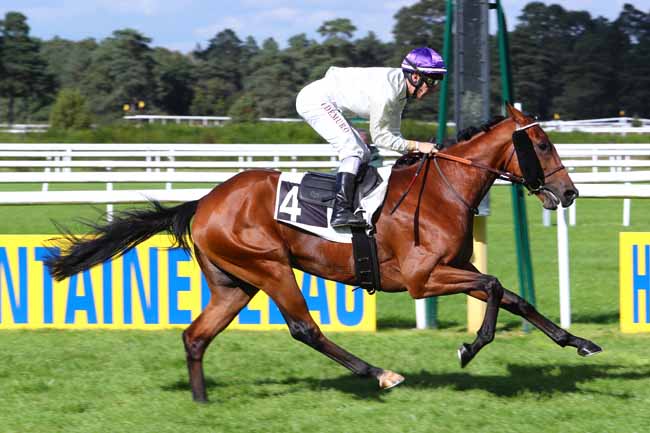 Photo d'arrivée de la course pmu PRIX DU ROUVRAY à FONTAINEBLEAU le Mardi 19 septembre 2017