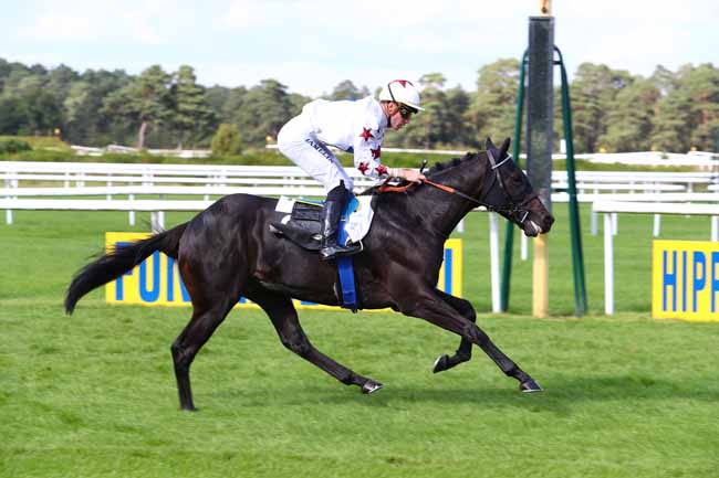 Photo d'arrivée de la course pmu PRIX DU PETIT TRIANON à FONTAINEBLEAU le Mardi 19 septembre 2017