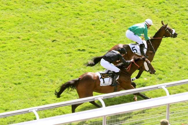 Photo d'arrivée de la course pmu PRIX D'ANGERS à AUTEUIL le Mardi 19 septembre 2017