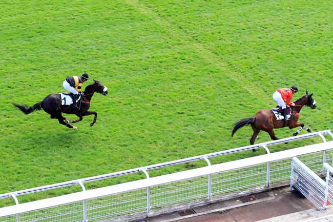 Photo d'arrivée de la course pmu PRIX PATRICK LEC à AUTEUIL le Mardi 19 septembre 2017