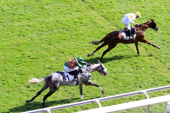 Photo d'arrivée de la course pmu PRIX RECRUIT II à AUTEUIL le Mardi 19 septembre 2017