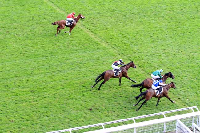 Photo d'arrivée de la course pmu PRIX CHAKHANSOOR à AUTEUIL le Mardi 19 septembre 2017