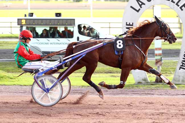 Photo d'arrivée de la course pmu PRIX MICHEL FLANDRE à LA CAPELLE le Mercredi 20 septembre 2017