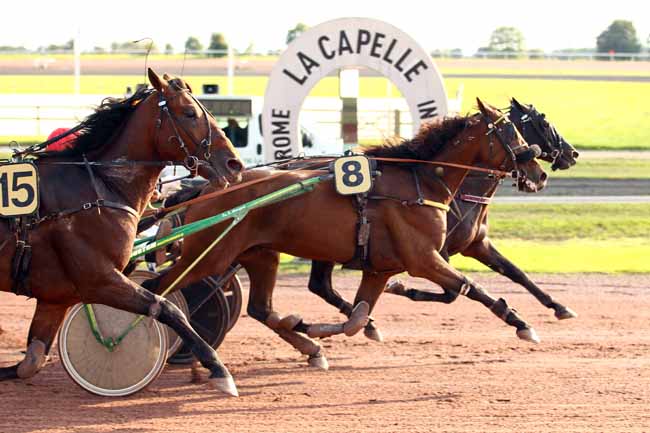 Photo d'arrivée de la course pmu PRIX ANDRE CARRUS à LA CAPELLE le Mercredi 20 septembre 2017