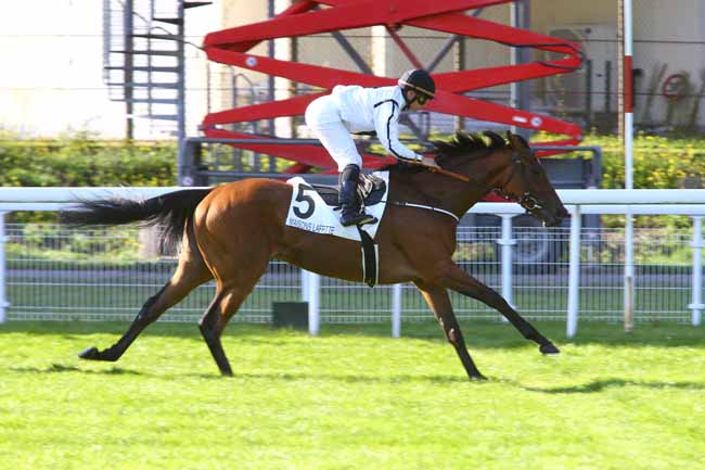 Photo d'arrivée de la course pmu PRIX BERTRAND DE TARRAGON à MAISONS-LAFFITTE le Mercredi 20 septembre 2017
