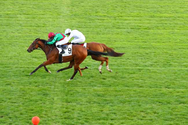 Photo d'arrivée de la course pmu PRIX DE BETHEMONT à MAISONS-LAFFITTE le Mercredi 20 septembre 2017