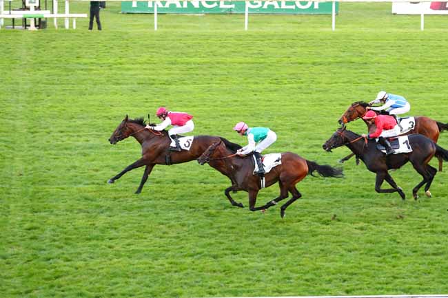 Photo d'arrivée de la course pmu PRIX BARNEVELDT à MAISONS-LAFFITTE le Mercredi 20 septembre 2017