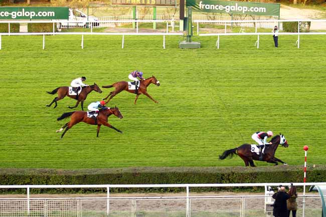 Photo d'arrivée de la course pmu PRIX LELIO à SAINT-CLOUD le Jeudi 21 septembre 2017