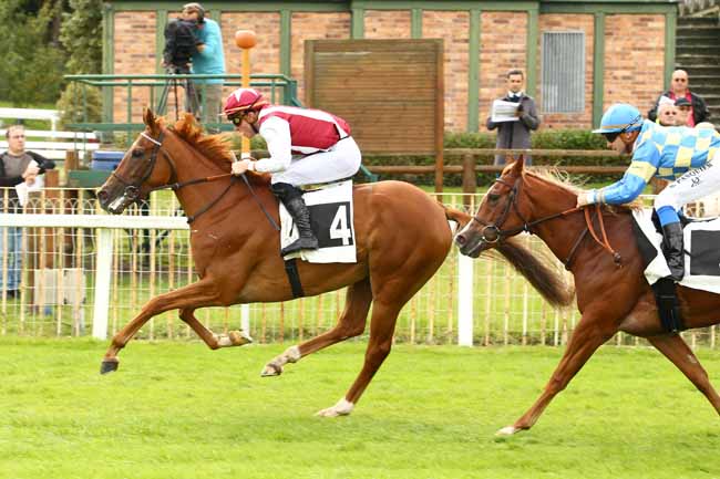 Photo d'arrivée de la course pmu PRIX DU ROCHER DE BOULIGNY à FONTAINEBLEAU le Vendredi 22 septembre 2017