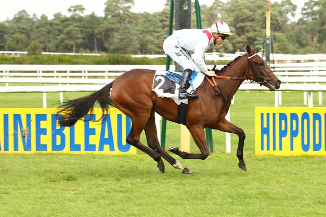 Photo d'arrivée de la course pmu PRIX DES NOYERS à FONTAINEBLEAU le Vendredi 22 septembre 2017