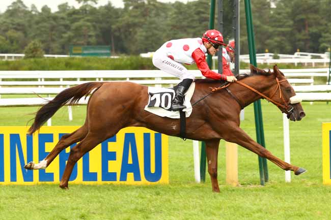 Photo d'arrivée de la course pmu PRIX DES AUBEPINES à FONTAINEBLEAU le Vendredi 22 septembre 2017