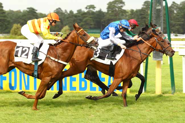 Photo d'arrivée de la course pmu PRIX DE LA SOCIETE DES COURSES DE GOURNAY-EN-BRAY à FONTAINEBLEAU le Vendredi 22 septembre 2017