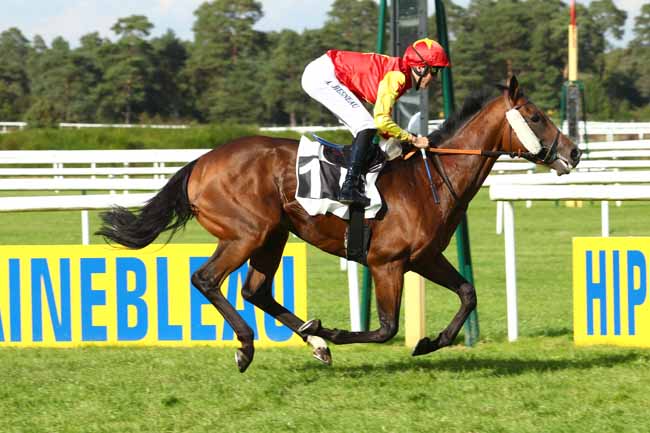 Photo d'arrivée de la course pmu PRIX DE LA SOCIETE DES COURSES DE RAMBOUILLET à FONTAINEBLEAU le Vendredi 22 septembre 2017
