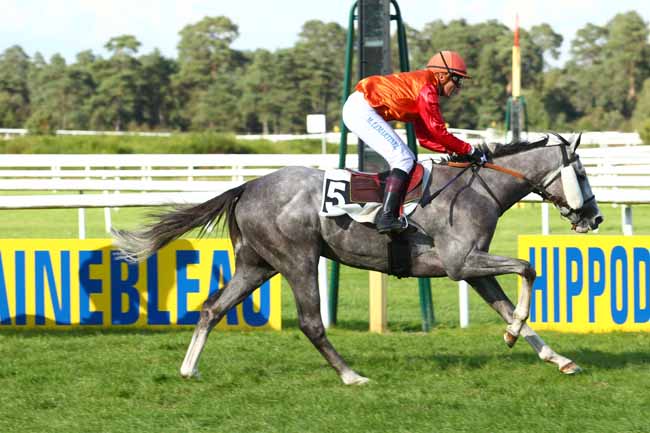 Photo d'arrivée de la course pmu PRIX MADAME CHARLES DU BREIL à FONTAINEBLEAU le Vendredi 22 septembre 2017