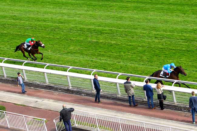 Photo d'arrivée de la course pmu PRIX LE GOURZY à AUTEUIL le Samedi 23 septembre 2017