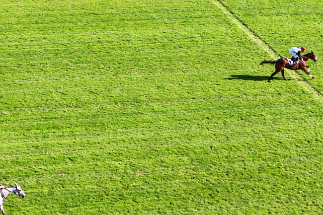 Photo d'arrivée de la course pmu PRIX DE CHAMBLY à AUTEUIL le Samedi 23 septembre 2017