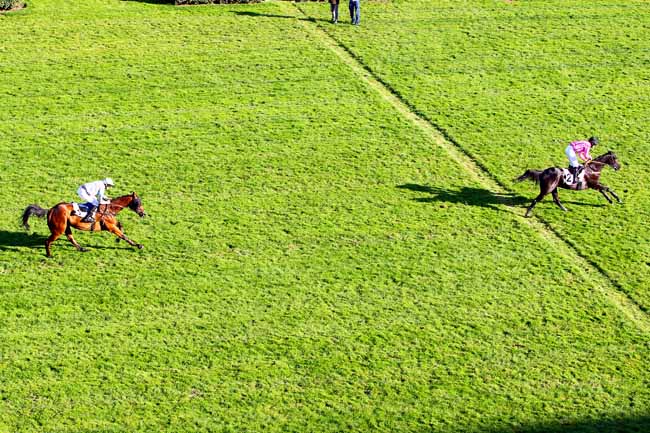 Photo d'arrivée de la course pmu PRIX MARITTIMO à AUTEUIL le Samedi 23 septembre 2017