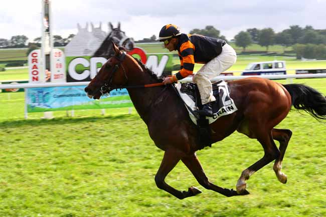 Photo d'arrivée de la course pmu PRIX BASSIN DE L'OUDON - PRIX VOLNEY à CRAON le Lundi 25 septembre 2017