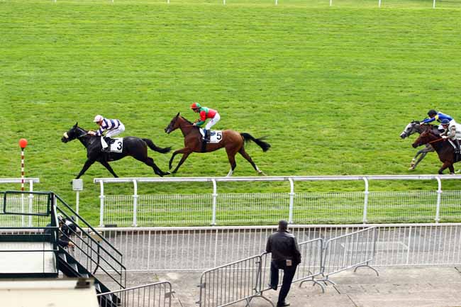 Photo d'arrivée de la course pmu PRIX SILVER SHARK à MAISONS-LAFFITTE le Lundi 25 septembre 2017