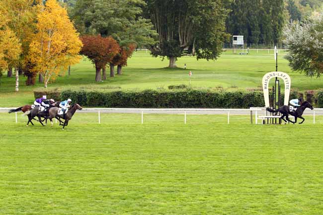 Photo d'arrivée de la course pmu PRIX HERBAGER à MAISONS-LAFFITTE le Lundi 25 septembre 2017
