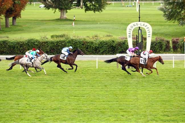 Photo d'arrivée de la course pmu PRIX DU ROND BOILEAU à MAISONS-LAFFITTE le Lundi 25 septembre 2017