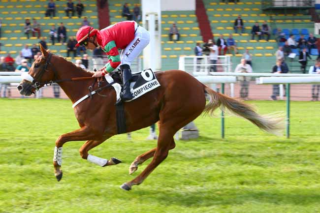Photo d'arrivée de la course pmu STEEPLE-CHASE DE DEBUT à COMPIEGNE le Mardi 26 septembre 2017