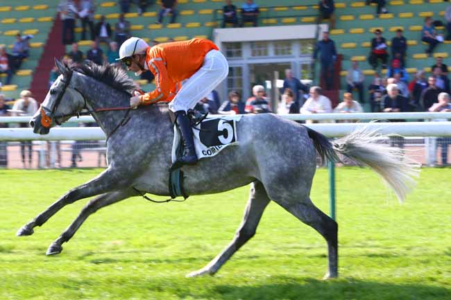 Photo d'arrivée de la course pmu PRIX NORTHERNTOWN à COMPIEGNE le Mardi 26 septembre 2017