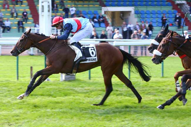 Photo d'arrivée de la course pmu PRIX DE BEAUNE à COMPIEGNE le Mardi 26 septembre 2017