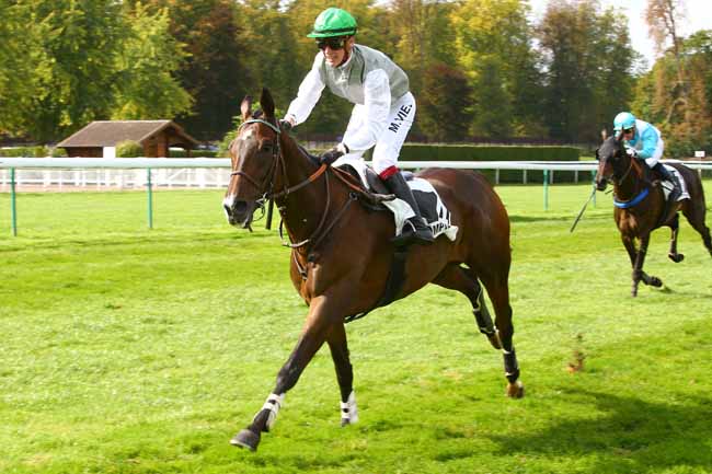 Photo d'arrivée de la course pmu PRIX BULAN à COMPIEGNE le Mardi 26 septembre 2017