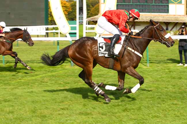 Photo d'arrivée de la course pmu PRIX JUMNA à COMPIEGNE le Mardi 26 septembre 2017