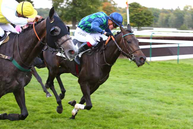 Photo d'arrivée de la course pmu PRIX TAFFETAS à COMPIEGNE le Mardi 26 septembre 2017