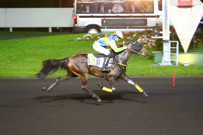 Photo d'arrivée de la course pmu PRIX CRUCIS à PARIS-VINCENNES le Mardi 26 septembre 2017