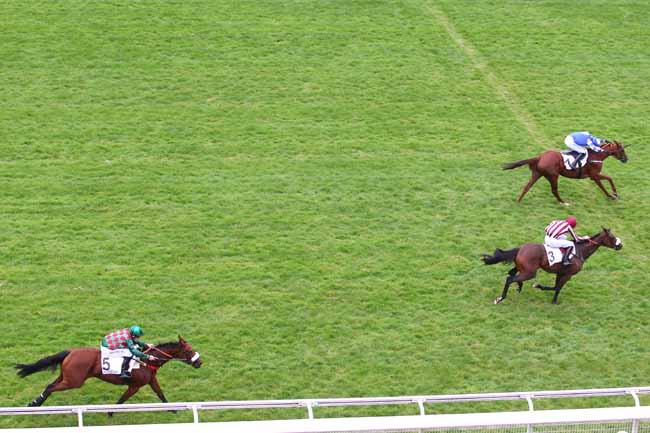 Photo d'arrivée de la course pmu PRIX PIERRE ET JEAN-MARIE MERCIER à AUTEUIL le Mercredi 27 septembre 2017