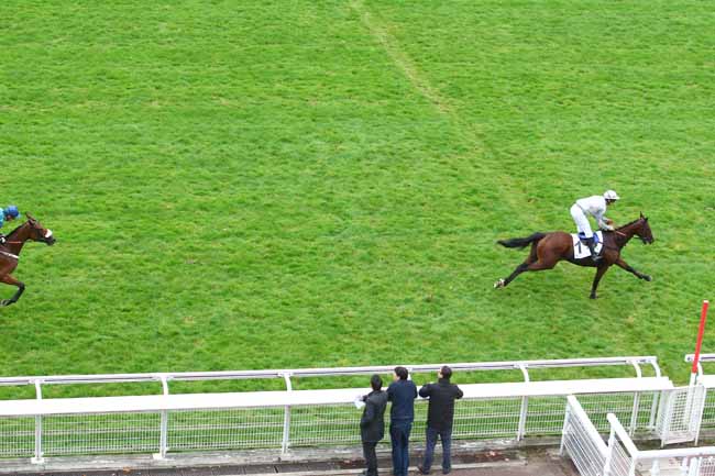 Photo d'arrivée de la course pmu PRIX PRIDE OF KILDARE (PELOTON A) à AUTEUIL le Mercredi 27 septembre 2017