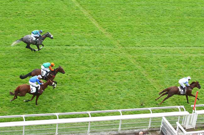 Photo d'arrivée de la course pmu PRIX PRIDE OF KILDARE (PELOTON B) à AUTEUIL le Mercredi 27 septembre 2017