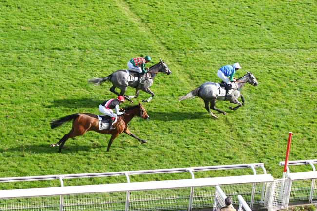 Photo d'arrivée de la course pmu PRIX DE NANTES à AUTEUIL le Mercredi 27 septembre 2017