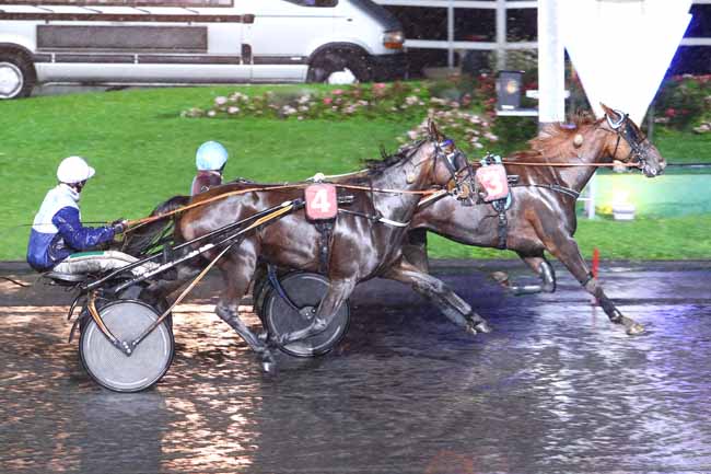 Photo d'arrivée de la course pmu PRIX FELICITAS à PARIS-VINCENNES le Vendredi 29 septembre 2017