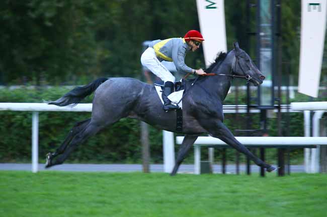 Photo d'arrivée de la course pmu PRIX DU ROND TESSE à MAISONS-LAFFITTE le Lundi 2 octobre 2017