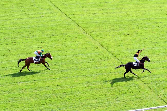 Photo d'arrivée de la course pmu PRIX GUILLAUME DE PRACOMTAL à AUTEUIL le Mardi 3 octobre 2017